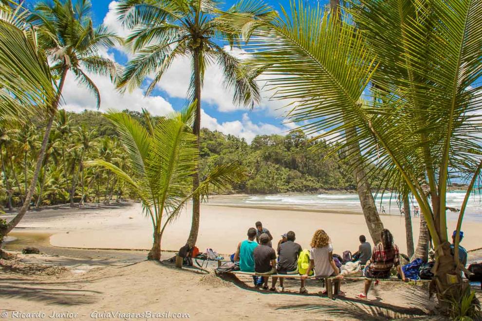 Imagem de turistas sentados no banco de madeira entre coqueiros admirando a paisagem.